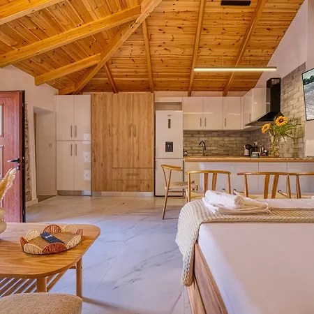 Thymele Stone House Habitación en casa particular Ligourio